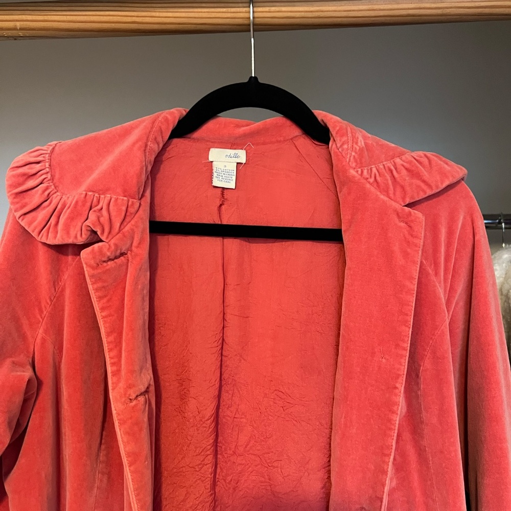 Jacket - Picture 2 of 4